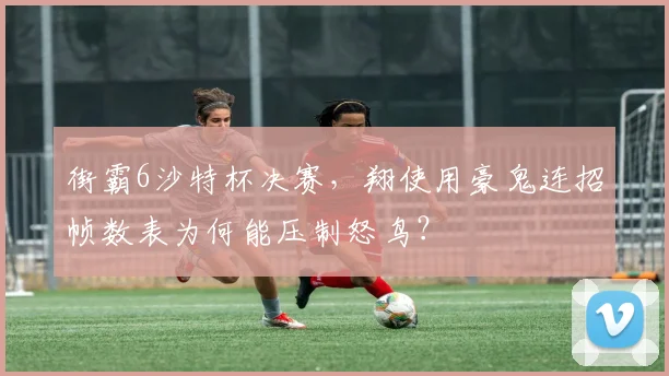 街霸6沙特杯决赛,翔使用豪鬼连招帧数表为何能压制怒鸟?